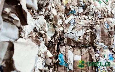 Riciclo di carta e cartone per aziende: come funziona, cosa prevede la normativa e come ottimizzare la gestione degli scarti